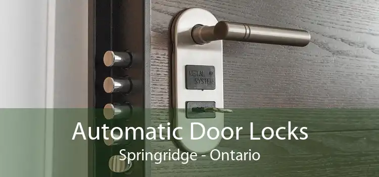 Automatic Door Locks Springridge - Ontario