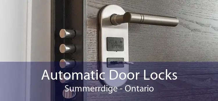 Automatic Door Locks Summerrdige - Ontario