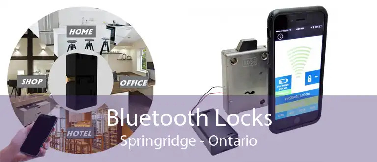 Bluetooth Locks Springridge - Ontario