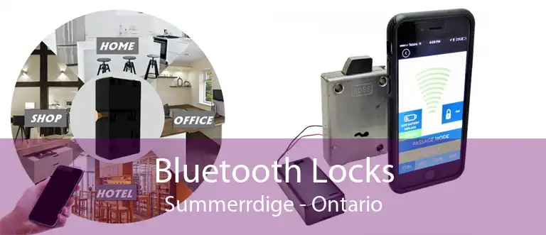 Bluetooth Locks Summerrdige - Ontario