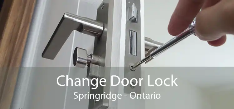 Change Door Lock Springridge - Ontario