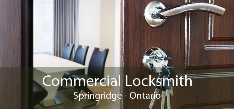 Commercial Locksmith Springridge - Ontario
