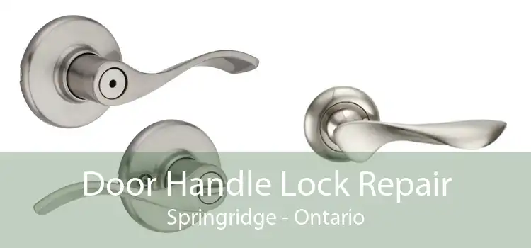 Door Handle Lock Repair Springridge - Ontario