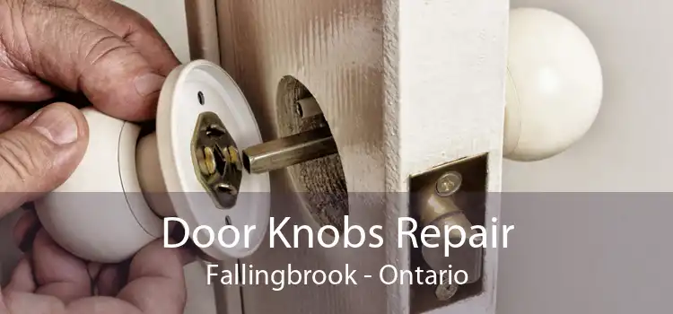Door Knobs Repair Fallingbrook - Ontario