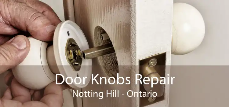 Door Knobs Repair Notting Hill - Ontario