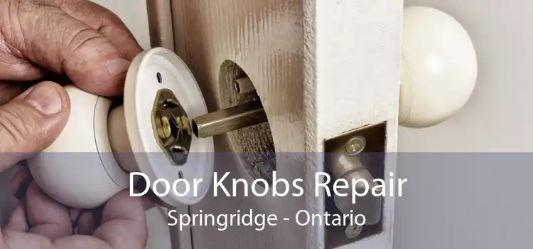 Door Knobs Repair Springridge - Ontario