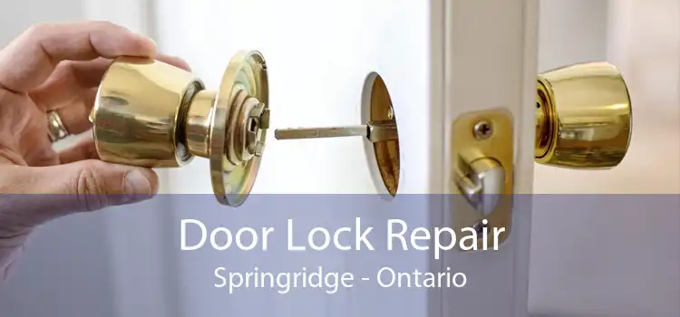 Door Lock Repair Springridge - Ontario