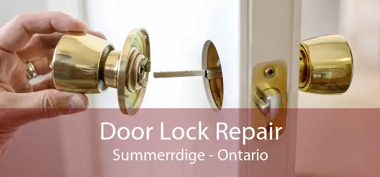 Door Lock Repair Summerrdige - Ontario