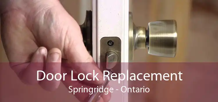 Door Lock Replacement Springridge - Ontario