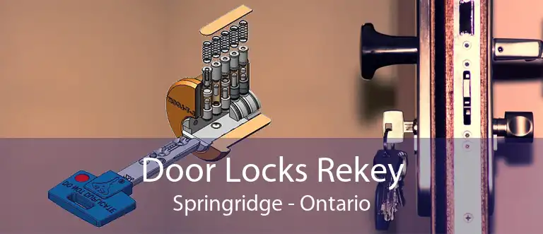 Door Locks Rekey Springridge - Ontario