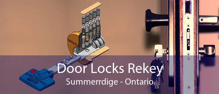 Door Locks Rekey Summerrdige - Ontario