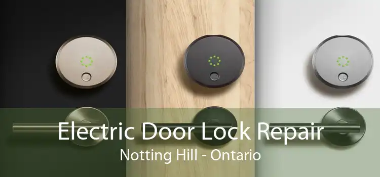 Electric Door Lock Repair Notting Hill - Ontario