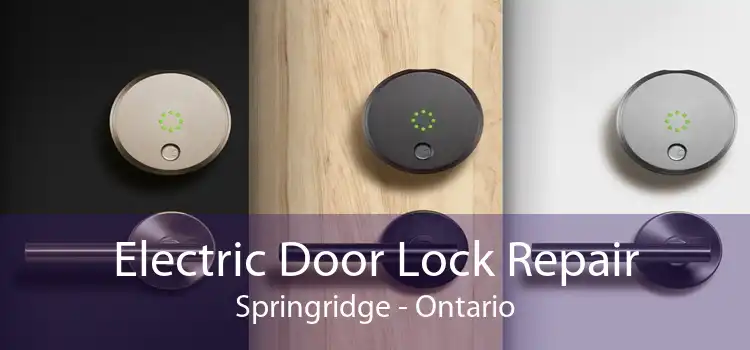 Electric Door Lock Repair Springridge - Ontario