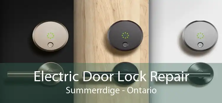Electric Door Lock Repair Summerrdige - Ontario