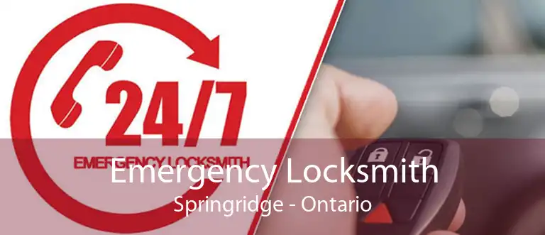 Emergency Locksmith Springridge - Ontario