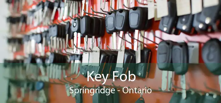 Key Fob Springridge - Ontario