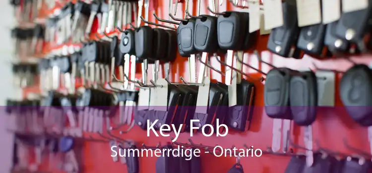 Key Fob Summerrdige - Ontario