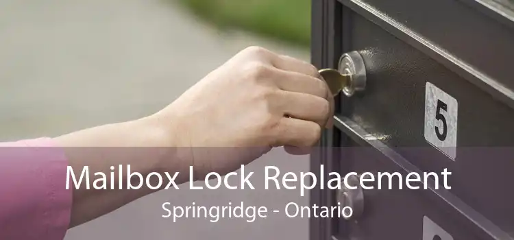 Mailbox Lock Replacement Springridge - Ontario