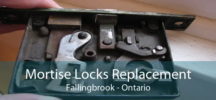 Mortise Locks Replacement Fallingbrook - Ontario