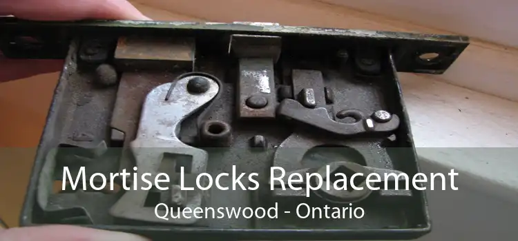 Mortise Locks Replacement Queenswood - Ontario