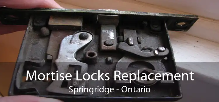 Mortise Locks Replacement Springridge - Ontario