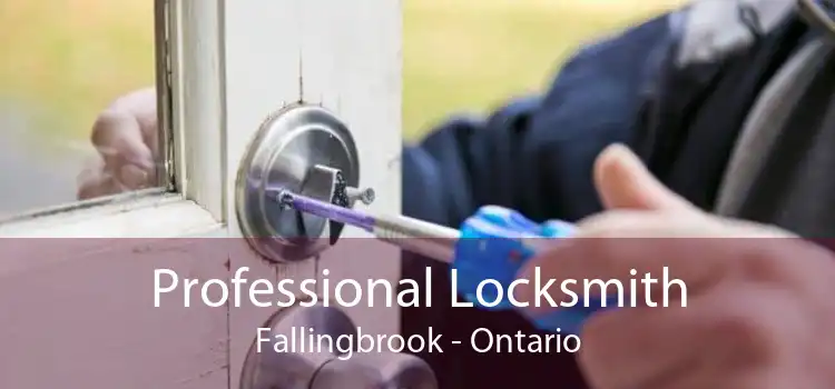 Professional Locksmith Fallingbrook - Ontario