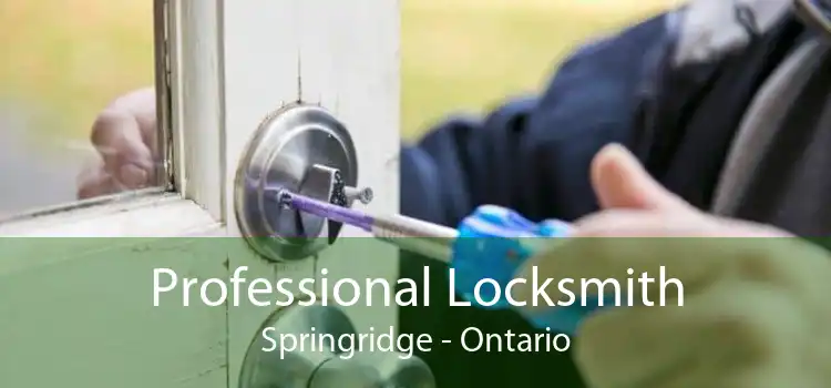 Professional Locksmith Springridge - Ontario