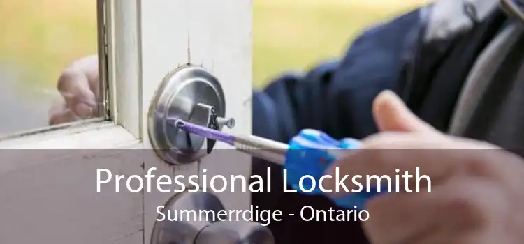 Professional Locksmith Summerrdige - Ontario