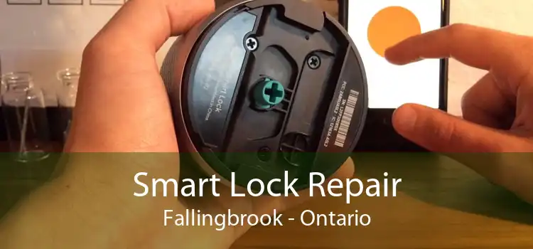 Smart Lock Repair Fallingbrook - Ontario