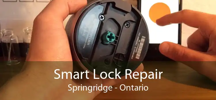 Smart Lock Repair Springridge - Ontario