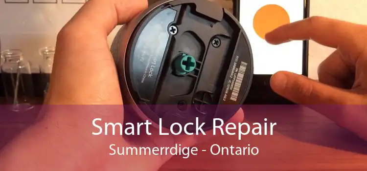Smart Lock Repair Summerrdige - Ontario