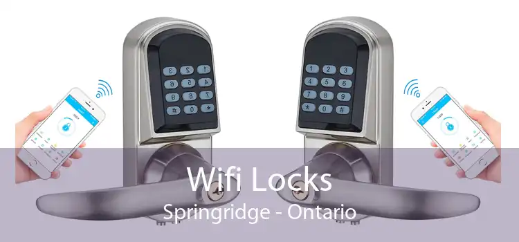 Wifi Locks Springridge - Ontario